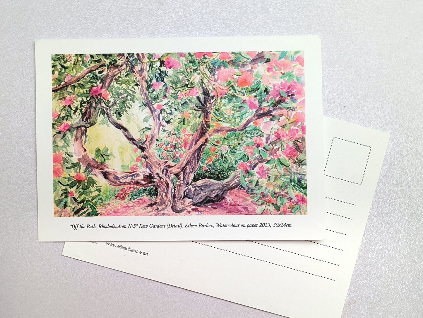 Rhododendron Dell - Kew Gardens (A6 Postcards)