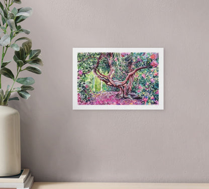 Rhododendron N° 2