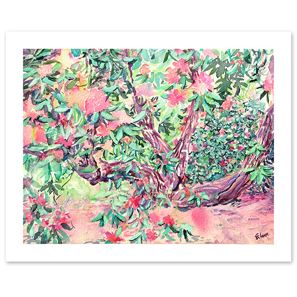 Rhododendron Nº6, Kew Gardens