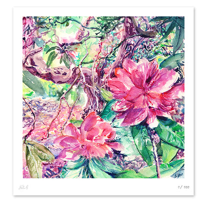 Rhododendron Nº4