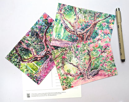 Rhododendron Dell, Kew Gardens (A6)
