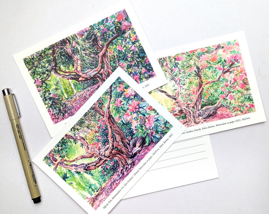 Rhododendron Dell - Kew Gardens (A6 Postcards)